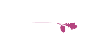 Chatsworth schools