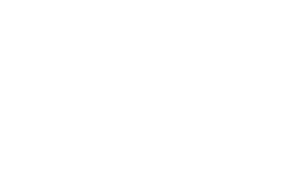 dfe logo
